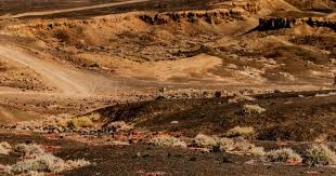 棒球商业模式解析为什么有些球队选择在小市场通过高周转率盈利